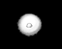 A black and white Kirby sits in the background spotlight in white, but surrounded by darkness.